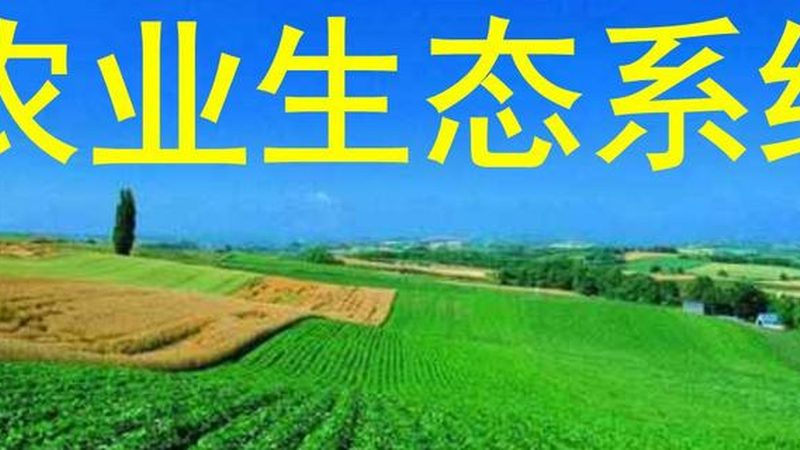 果蔬配送起步价与续重：揭秘背后的定价逻辑**