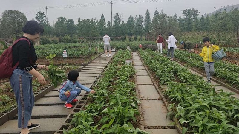 农用柴油机型号解析：如何准确选择**