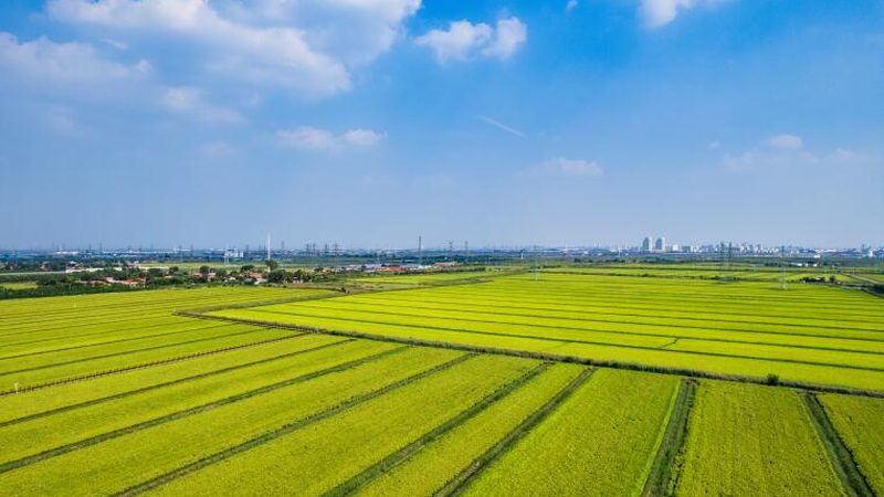 温室设备代理加盟：关键步骤与注意事项**