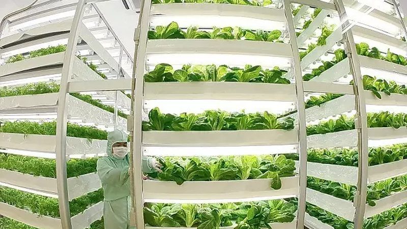 农资经营资质审批的四个关键门槛