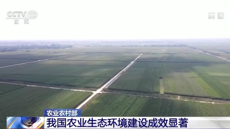绿色食品批发市场加盟：揭秘绿色食品市场新机遇