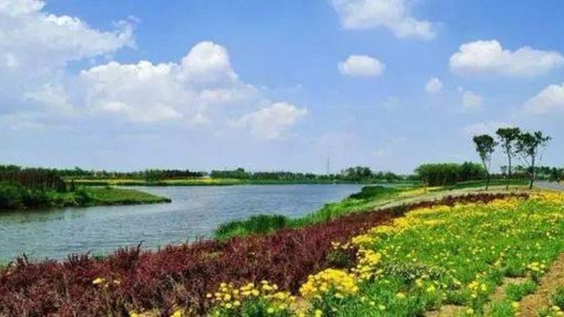 2025年全国农产品批发市场展会排期怎么看
