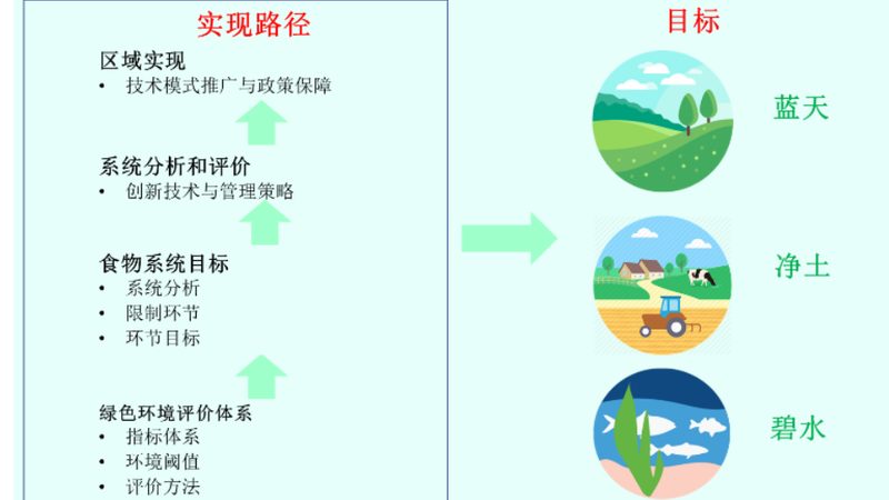 （1）食品经营许可证范围：
