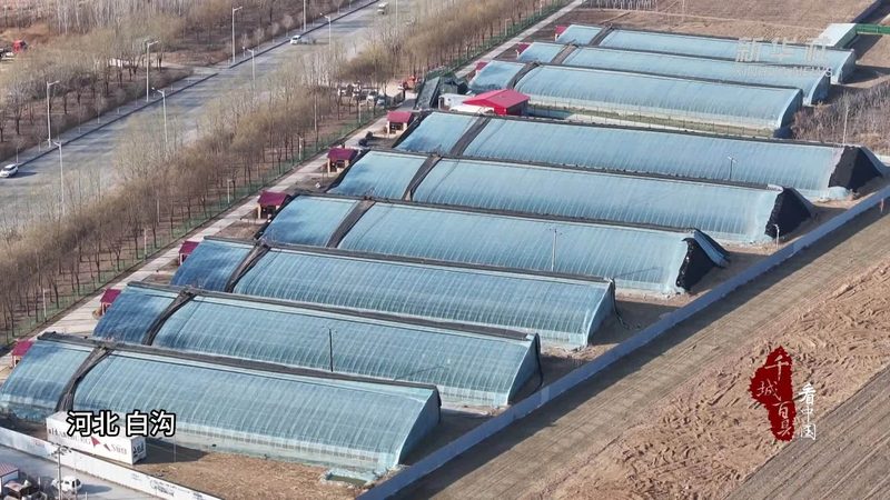 农产品批发商如何选择进货渠道：渠道对比与选择要点**