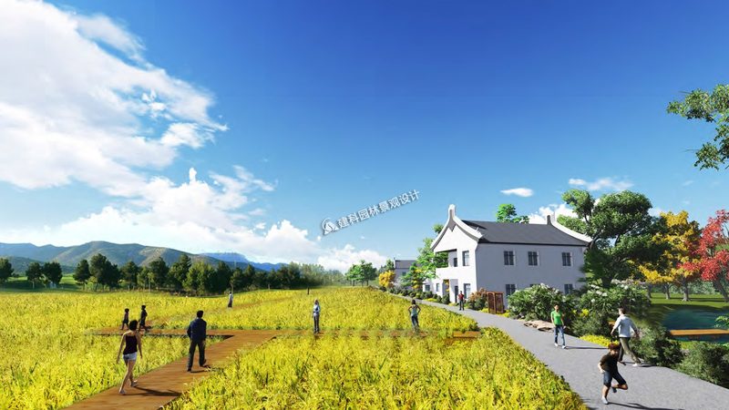有机蔬菜如何保存？五大方法助您延长保鲜期