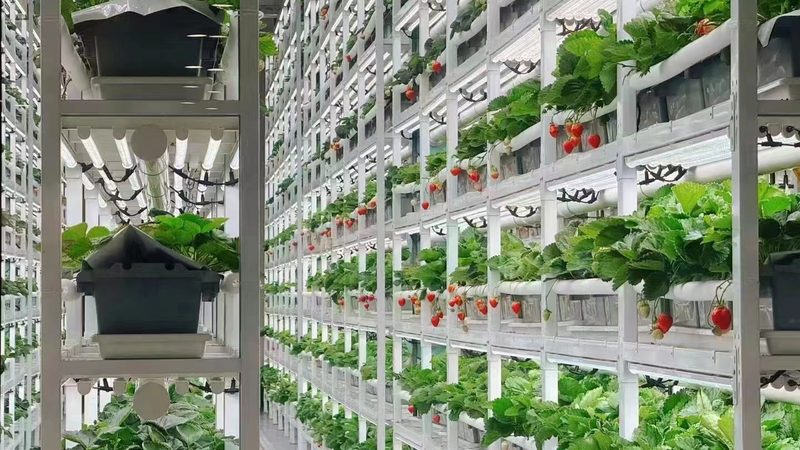 温室大棚滴灌设备厂家排名