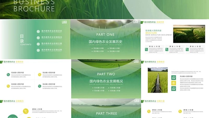 农业种植步骤解析：十大品牌对比解读